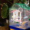 Wear-resisting Bird Mirror with Perch Bite-resistance Bird Cage Toys  Balconies