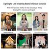 Godox SL150IIIBi Bi-Color COB LED Video Light