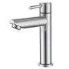 Larsden 304 Stainless Steel Single Cold Basin Faucet