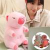 Cute And Adorable New Breathable Bear Capybara Plush Toy With Music For Kids