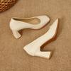 Fashion 2025 New Spring Women's Luxury Shoes Fashion Pointed Toe French Style Thick Heel Shoes Female Professional Elegant High Heels