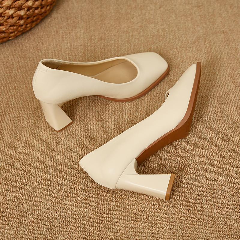 Fashion 2025 New Spring Women's Luxury Shoes Fashion Pointed Toe French Style Thick Heel Shoes Female Professional Elegant High Heels