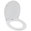 PP SWING TOILET SEAT