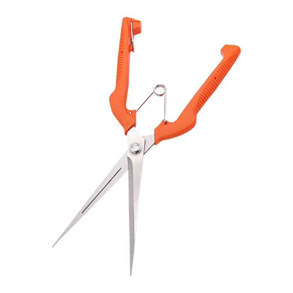 Fruit Picking Scissors Stainless Steel Gardening Tool Scissors Fruit Picking Fruit Plant Pruning Shears Garden Tools