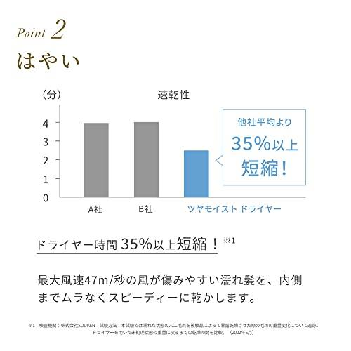 FESTINO Glossy Moist Hair Dryer (SMHB-029) - Fast Drying, High Airflow, Compact, 4 Modes, Lightweight (270g), with Far Infrared Negative Ions (Sand Be