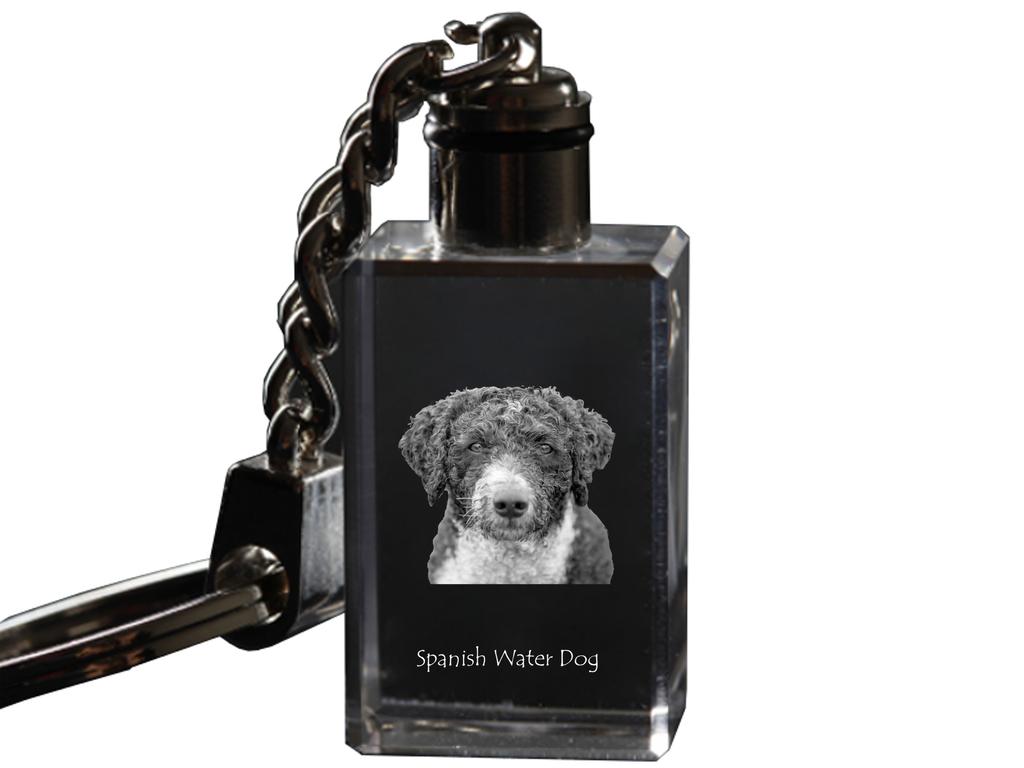 Spanish Water Dog - Crystal Key Ring with Dog Photo, Illuminated Key Ring, Unique Gift by Art-Dog Brand