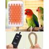 Bird Cage Heater Parrot Insulation Lamp with Protective Cover Simulated Natural Environment Heat Lamp Anti Bite Warmer Light