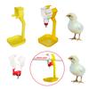 40Pcs Chicken Duck Hanging Cup and 25mm Pipe Hanging Water Dispenser Poultry Water Bowl Nipple Drinker Feeder Poultry Supplies