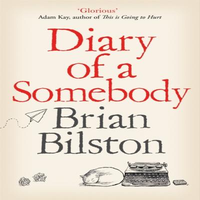 Diary of a Somebody by Brian Bilston Paperback Book 9781529005561