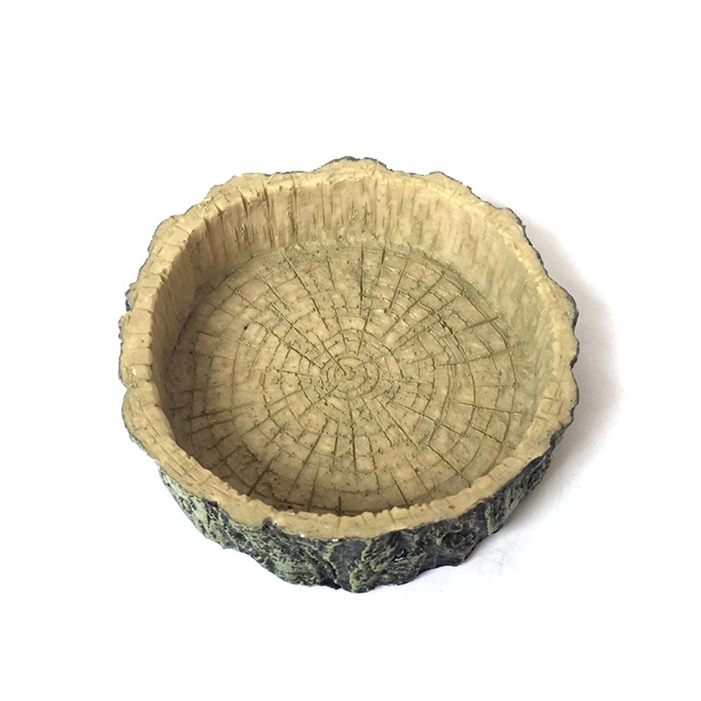 turtle feeding bowl