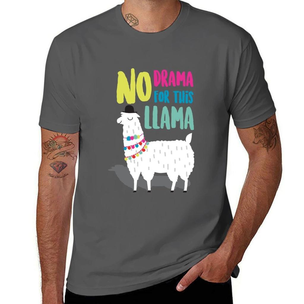 No Drama For This Llama Tshirt Durable Work Wear Tshirt