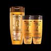 L'Oréal Oil Nourishing & Anti-Dandruff Shampoo Set