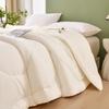 All-Season Skin-Friendly Polyester Fiber Quilt