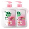 Antibacterial Hand Wash (Family Pack)