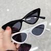 Women Sunglasses Eye-catching Solid Construction Plastic Fashionable Women Small Frame Sunglasses for Summer