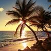 Beach Sunset 3d Photo Wallpaper Coconut Palm Seaside Landscape Wall Mural Restaurant Cafe Home Decor Wall Papers
