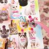 Cute PET Die Cut Stickers Book - 20/40 Sheets Cartoon Pet Theme Handmade Scrapbooking Material for Phone Stickers