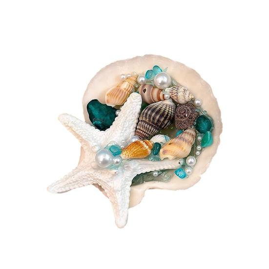 

Starfish Conch Shell Refrigerator Magnet 3D Ocean Beach Fridge Magnet Home Kitchen Office Decoration Summer Birthday B