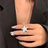 Elegant Star Pendant Long Necklace for Women - Luxurious Snake Chain Sweater Accessory