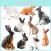Realistic Pvc Rabbit Model Solid Plastic Cute Animal Figurine For Cake Decoration