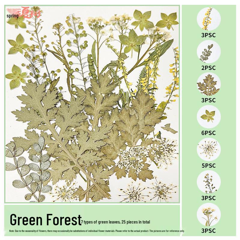 Handmade Pressed Flower Bookmark and Epoxy Sticker Pack with Real Leaf and Plant Specimens for DIY Face Makeup.