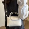 2025 Stylish Dumpling Crossbody & Shoulder Bag - Trendy Niche Design Ladies' Bucket Bag