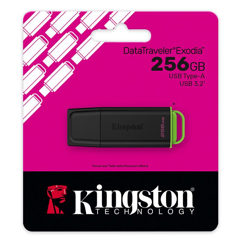 Kingston 256GB USB 3.2 Gen 1 Flash Drive