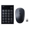 Sanwa Supply Wireless Keypad and Mouse USB A Set, Quiet, Connection, Black, NT-WL23SETBK