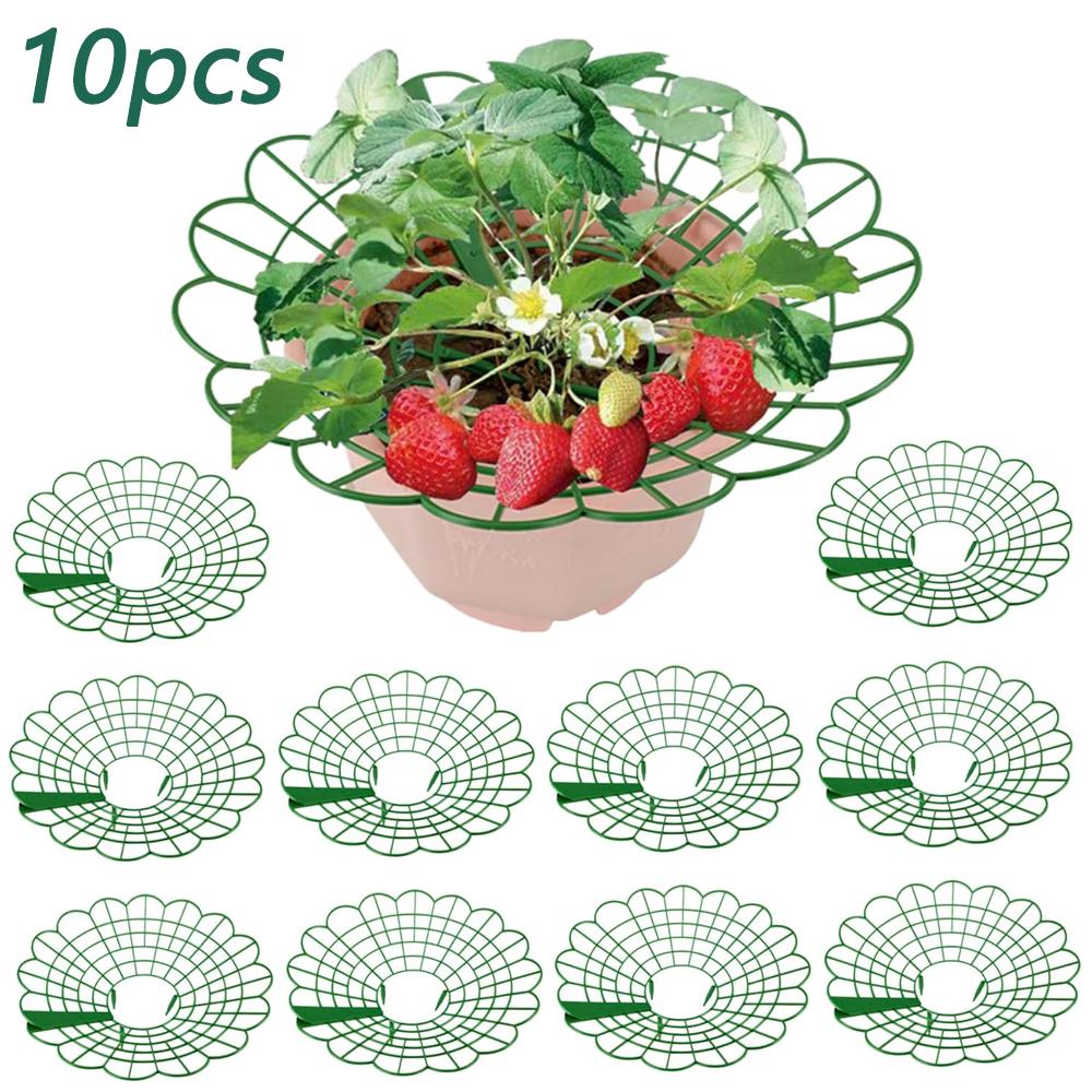 

10-50 штук Подставка для клубники, Антикоррозийная подставка для выращивания клубники, Клубничный поднос с 3 прочными подставками, Погодоустойчивая пластиковая клетка для клубники 10pcs