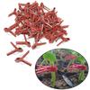 50PCS Plant Grafting Clip Plastic Gardening Tool For Cucumber Eggplant Watermelon Round Mouth Flat Mouth Anti-fall Trellis Clips