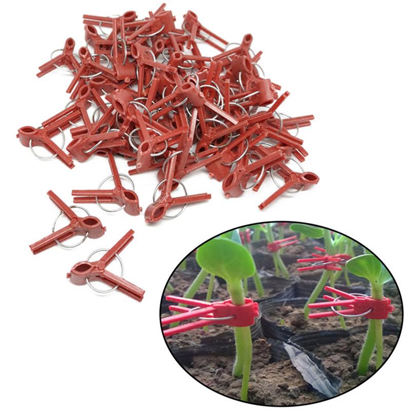 50PCS Plant Grafting Clip Plastic Gardening Tool For Cucumber Eggplant Watermelon Round Mouth Flat Mouth Anti-fall Trellis Clips