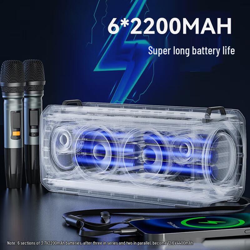 Soaiy SH05 Outdoor Karaoke Bluetooth Speaker with Dual Mics