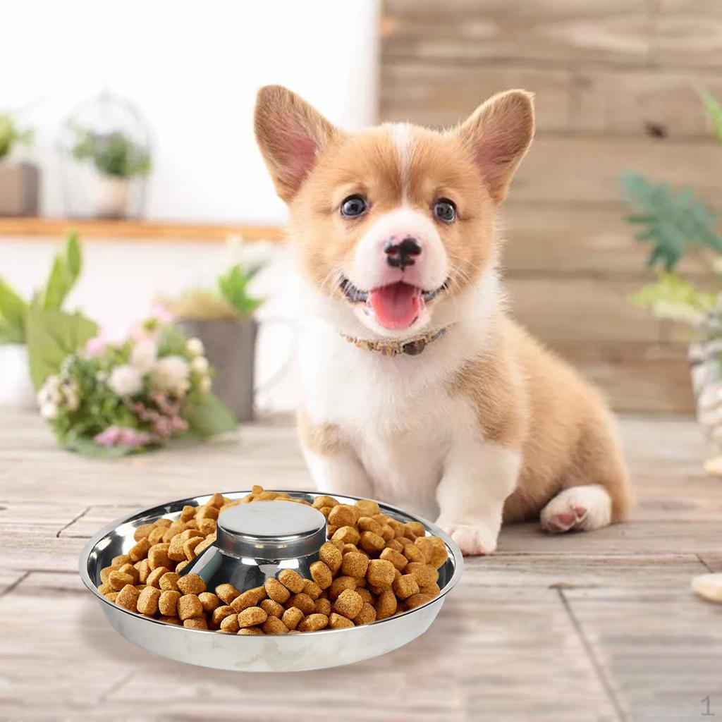 

Slow Feeder Bowl Stainless Weaning Food Feeding for Puppy Cat Water Tool Dish M 30cm