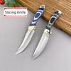 7.5 Inch Fruit Slicing Knife Grill Cooking Home Fruit Cutting Knife Blue Color Wood Handle