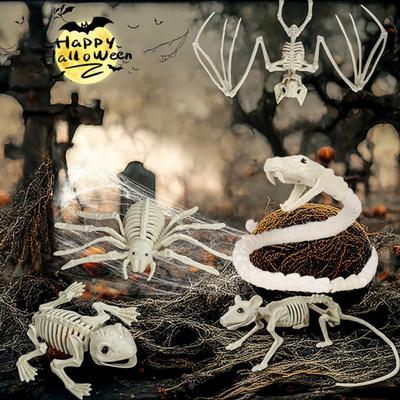 Halloween Szkielety Zwierząt Pies Nietoperz Żaba Skorpion Pająk Wąż Szczur Kości Szkielety na Imprezę Halloweenową Dom Strachów Dekoracja Sceny Cmentarnej