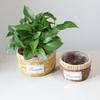 Imitation Rattan Flower Basket, Green Ivy Flower Pot, Living Room Container, Storage Basin, Green Plant Gardening Utensil, Flower Basket