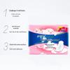 Safeguard Antibacterial Hand Wash & Sanitary Napkin Set