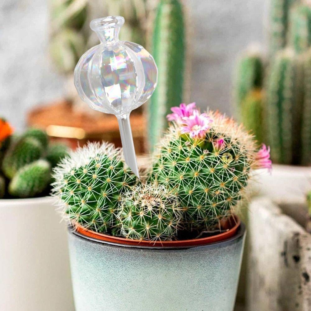Glass Automatic Plant Watering Bulbs Cactus Plant Water Feeder Glass Bulbs  Outdoor Potted