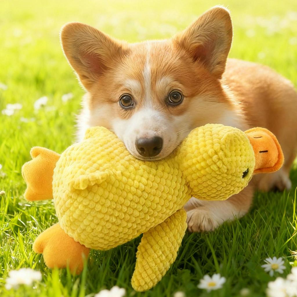 Hundespielzeug Ente Interaktiv Quietschend Weich Haustier Zubehör Hund Zahnungsspielzeug Für Reise Strand Pool Park Hof Schlafzimmer Garten Innen