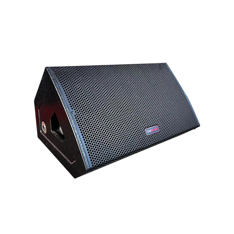 TAKSTAR ELV-121M 12-inch Return Monitor Speaker