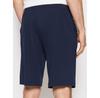 Шорты спортивные Polo Ralph Lauren 714844761003