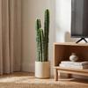 Artificial Plant Cactus Plants Large 95 Cm with Pot Like Real for Home, Office, Green