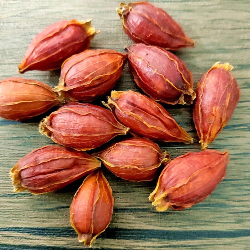 Gardenia Rote Frucht Tee Kräuter loser Tee 17,6oz Großpackung
