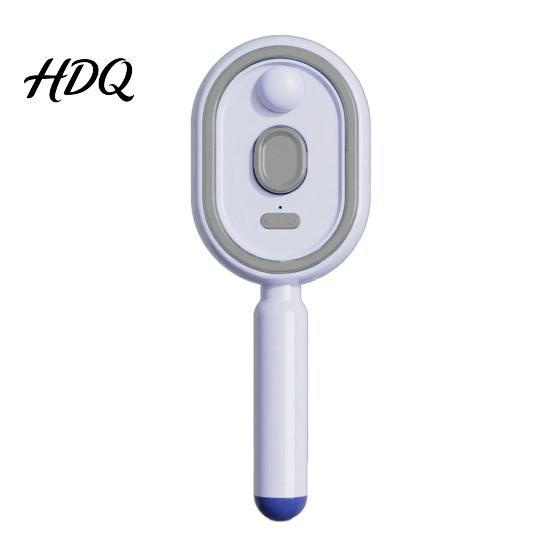 Cordless Hair Brush Electric Steam with Water Spray Reduce Frizz Anti-Static Portable