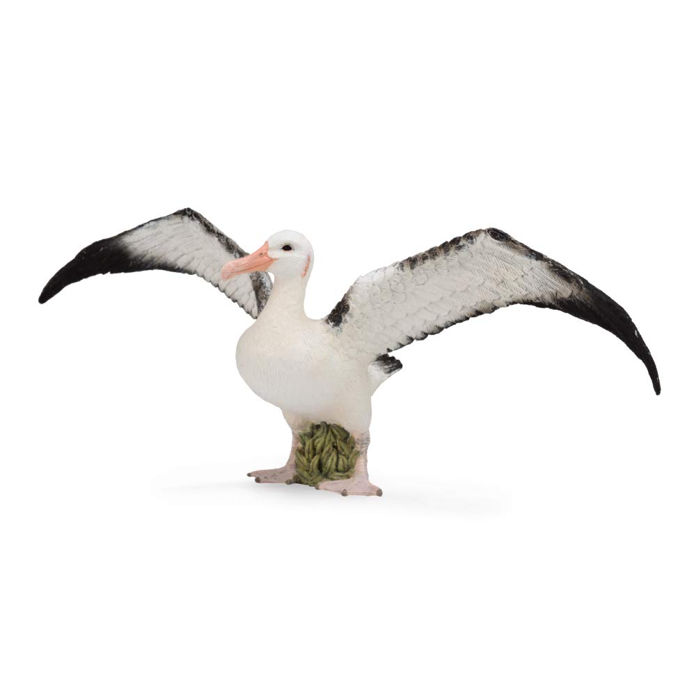 

Figurine Albatros Hurleur Collecta 88765 - -