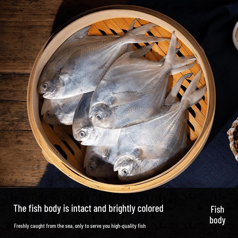 Hai Ding Ji Zhoushan Wildfang Großer Silber-Pomfret