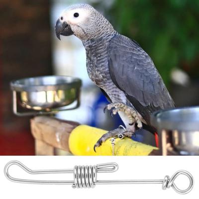 Flying Training Parrot Foot Chain New Accessories Safe Flee-proof Rings Away Stainless Steel Bird Anklet Rings Outdoor