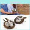 Set 1 Realistic Feathered Birds With Nest Birds Egg Artificial Garden Tree Decor