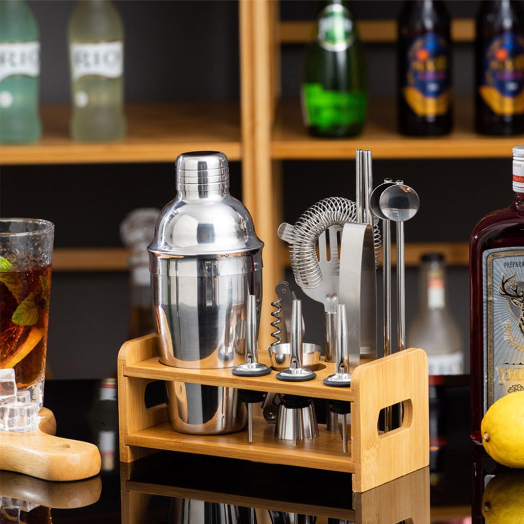 13 Piece Stainless Steel Cocktail Shaker Set,Bar Tool Kit for Home and Party