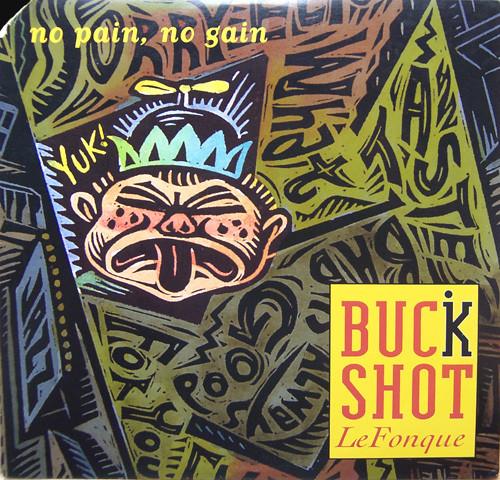 

12inch Record BUCKSHOT LEFONQUE No Pain No Gain 4477784 Columbia 1995 US Rap HipHopRB Used